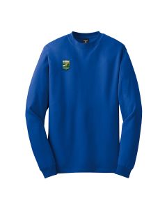 Long Sleeve Beefy Tee (Royal)