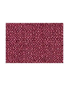 Continuum - Beet