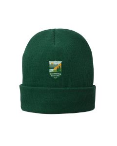 Fleece Lined Knit Cap (Athletic Green)