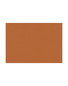 Durango Vinyl - Sepia