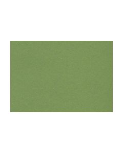 Lotus - Verdant