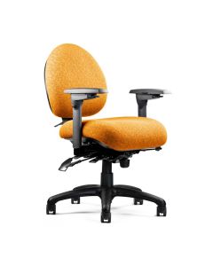 Neutral Posture Chair (NPS5500)