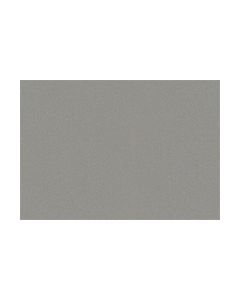 Powder Coat - Starlight Silver Metallic
