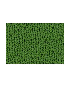 Renew - Wild Fern